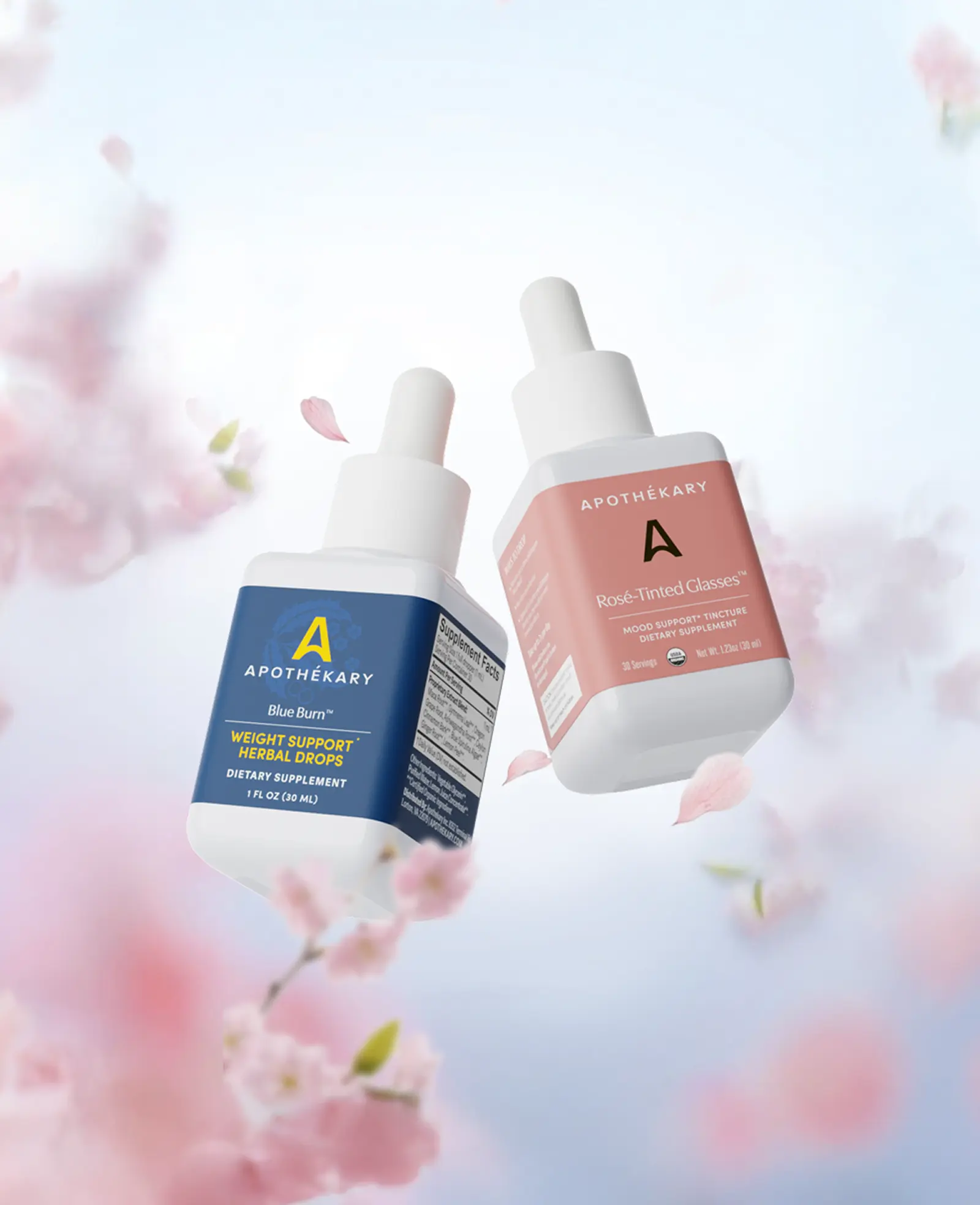 Timeless Rituals, Modern Radiance